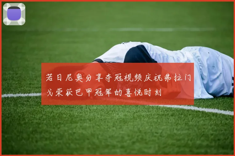 若日尼奥分享夺冠视频庆祝弗拉门戈荣获巴甲冠军的喜悦时刻